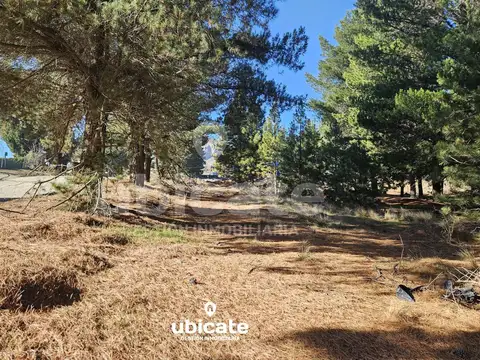 Terreno en Venta en Dina Huapi, USD 150.000