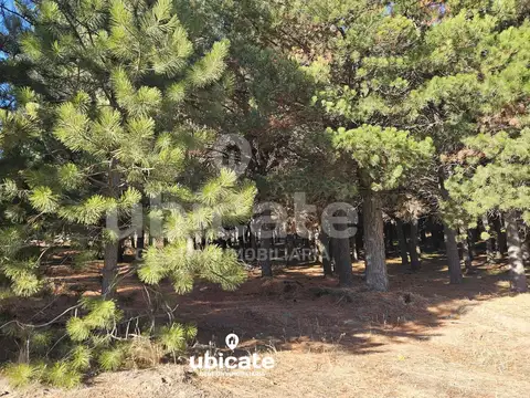 Terreno en Venta de 3330,0 m2