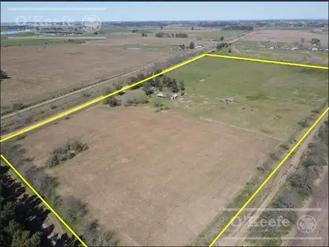 CHACRA de 15 has en venta - Disfrute y producciòn a 1000 mts de Ruta 29, en el Partido de General Belgrano.
