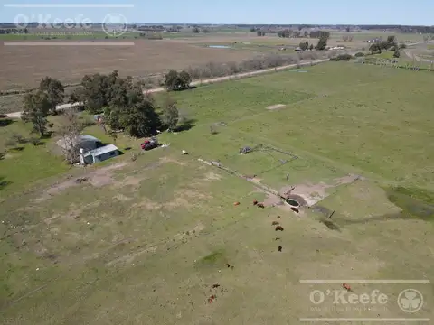 CHACRA de 15 has en venta - Disfrute y producción a 1000 mts de Ruta 29, en General Belgrano.