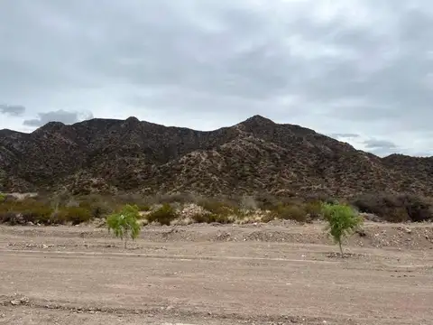 Lote en Barrio Privado Mendoza Norte Sector El Mirador