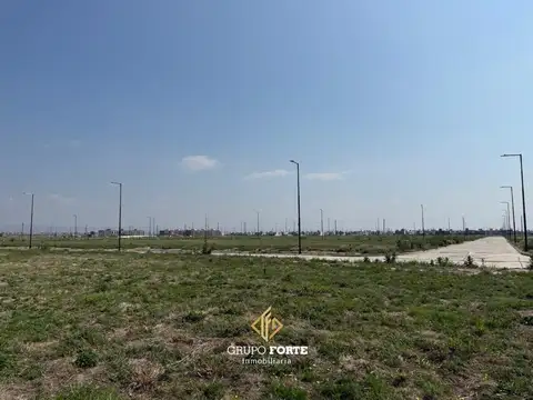 Terreno en Venta de 250,0 m2