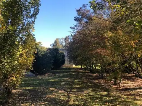 Lote En Barrio Brujas, Pilar, Barrio Pellegrini