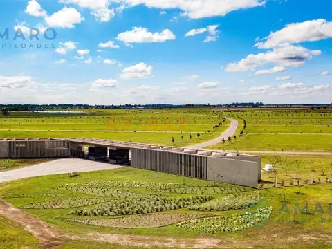 José Hernández y Pedro Ríos