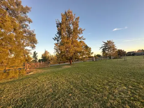 Terreno en Venta de 5005,0 m2