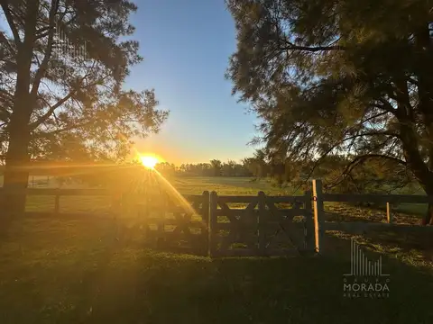 Venta LOTE CENTRAL de 5.000 M2. ÚNICO POR SU UBICACIÓN. OPORTUNIDAD