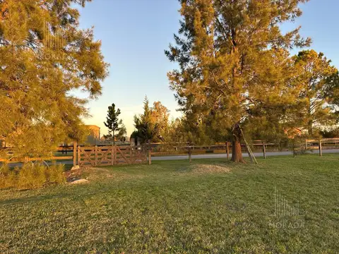 Venta LOTE CENTRAL de 5.000 M2. ÚNICO POR SU UBICACIÓN. OPORTUNIDAD