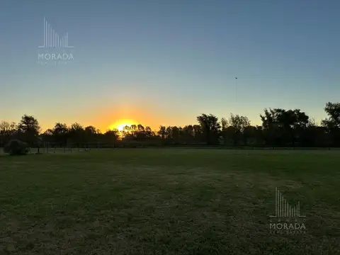 Terreno en Venta de 5005,0 m2