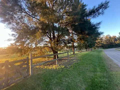 Haras el Malacate