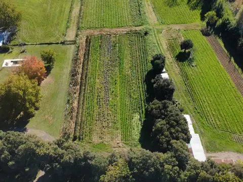 Excelente fracción de 15.000 m² en Barrio Los Troncos