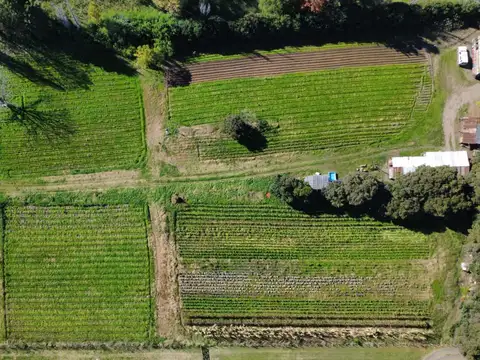 calle 616