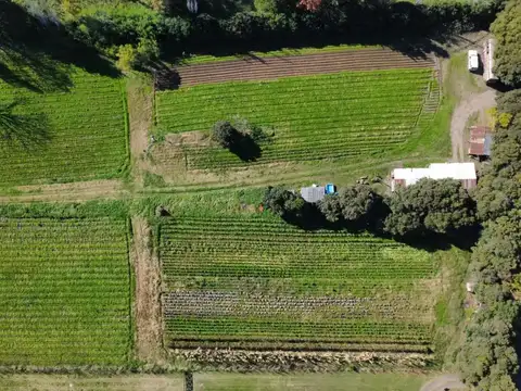 Calle 616