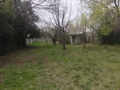 de los venecianos 6500