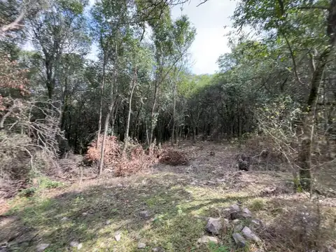 Terreno en Venta 120  mts Frente