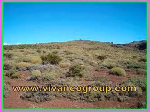 PROPIEDADES RURALES - FORESTAL - LONCOPUÉ