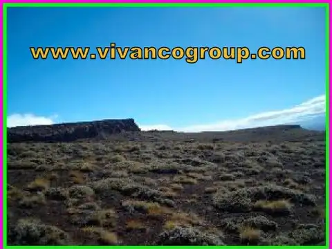 Campo en Venta Forestal