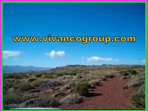 Campo en Venta Forestal