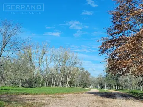 Terreno Lote  en Venta en Barrio Parque Los Pinos, Exaltació