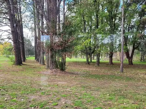 Terreno en Venta 52  mts Fondo