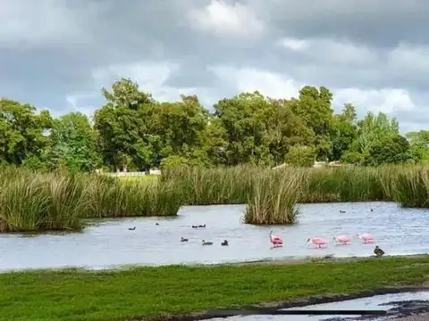 Lote en Campos de la Enriqueta (club de campo) La Plata