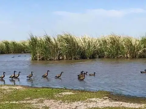 Terreno en Venta de 1000,0 m2