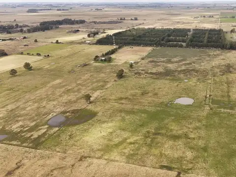 Calle 30 y calle 704