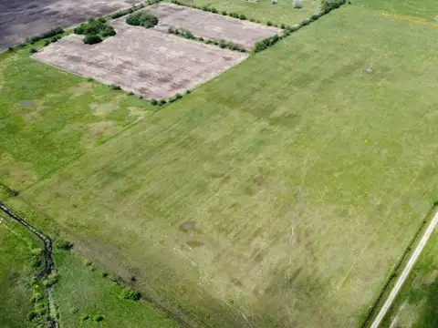 CAMPO MIXTO EN NAVARRO