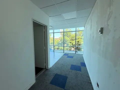 Oficina en Alquiler 20 años