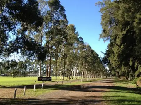 Terreno en Venta de 477,0 m2
