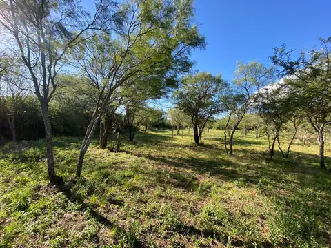 Terreno en Venta 64  mts Fondo