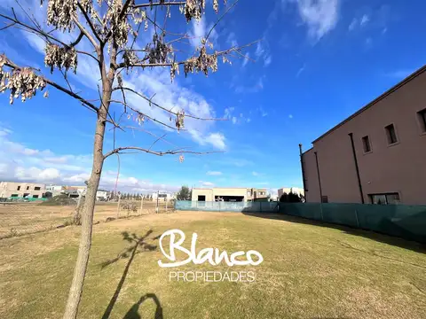 Terreno en Venta en Vila Marina, USD 115.000