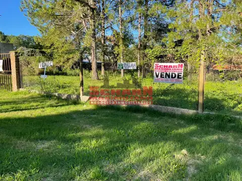 MAYOR QUINTEROS