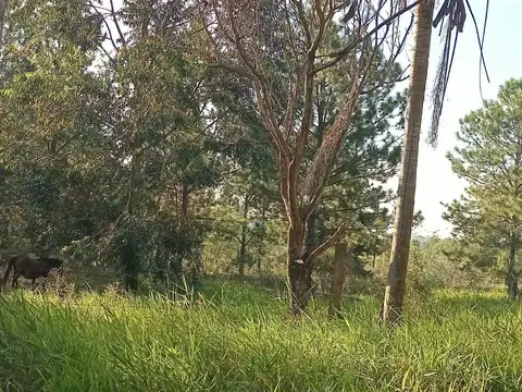 La Colina, Garupa