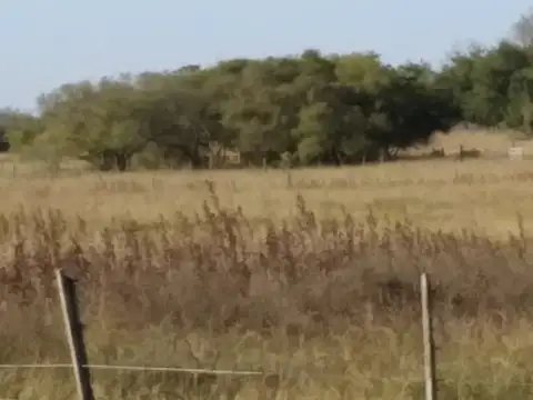 Campo en Venta Mixto