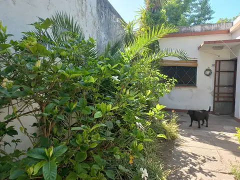 Melgar 1400