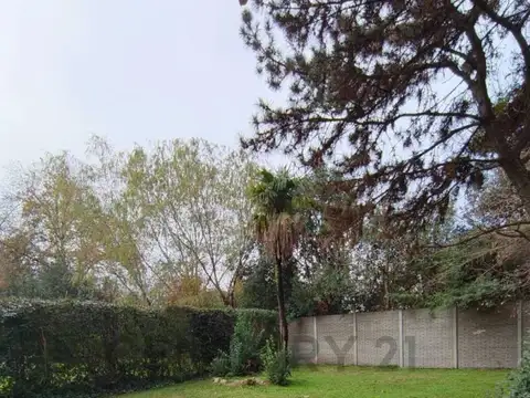 CASEROS 400, Piso 0