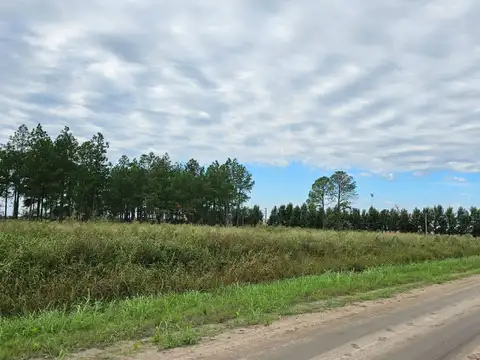 Se vende Lote de 2,39 hectáreas sobre RP 31 Avda