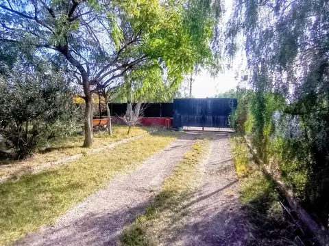 Calle uno 100