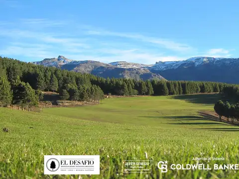 VENTA Lote/Terreno C-19 2799m2 Barrio El Desafío MOUNTAIN RESORT - San Martin de los Andes