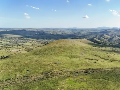 Campo de 95 ha en venta ruta 12 Maldonado/Lavalleja