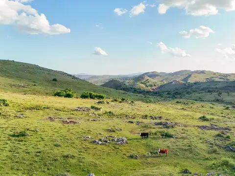 Campo de 95 ha en venta ruta 12 Maldonado/Lavalleja