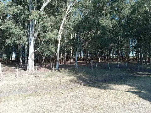paraje el pescado , Piso 0