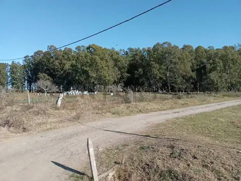 Campo en Venta de 1,42  ha