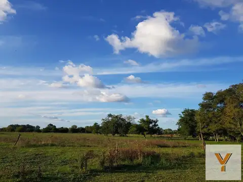 Campo en venta - 141 Hectáreas - Etcheverry