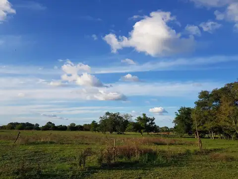 Campo en venta - 141 Hectáreas - Etcheverry