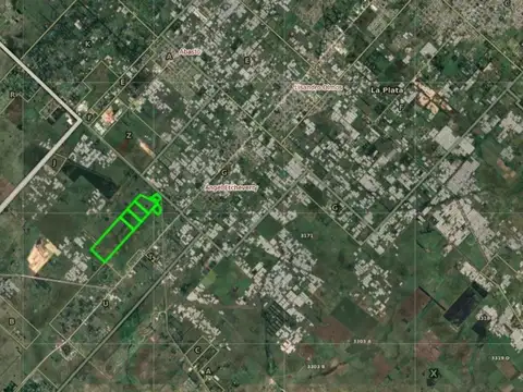 Campo en venta - 141 Hectáreas - Etcheverry