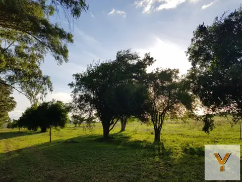 Campo en venta - 141 Hectáreas - Etcheverry