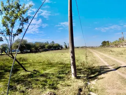 Terreno en Alquiler en Charata, USD 3.800