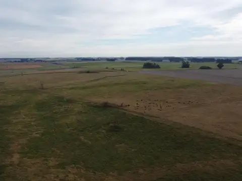 Campos en venta en Santiago del Estero – 7.321 hectáreas