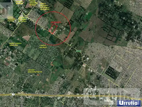 ruta 25